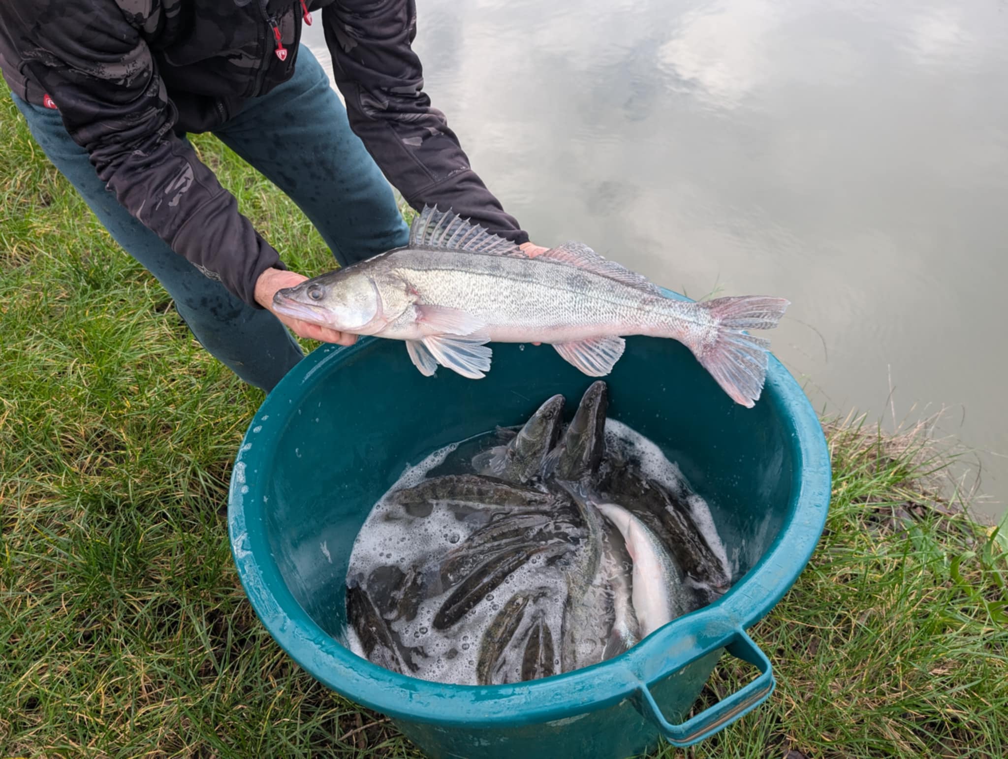 Empoissonnement 2025